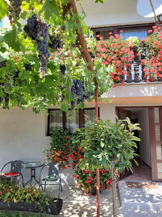 Apartment Vir كارلوفاتش المظهر الخارجي الصورة