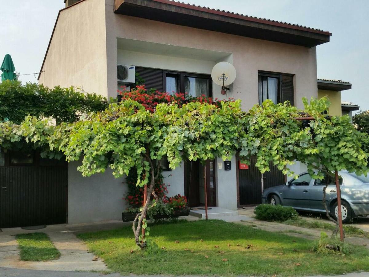 Apartment Vir كارلوفاتش المظهر الخارجي الصورة